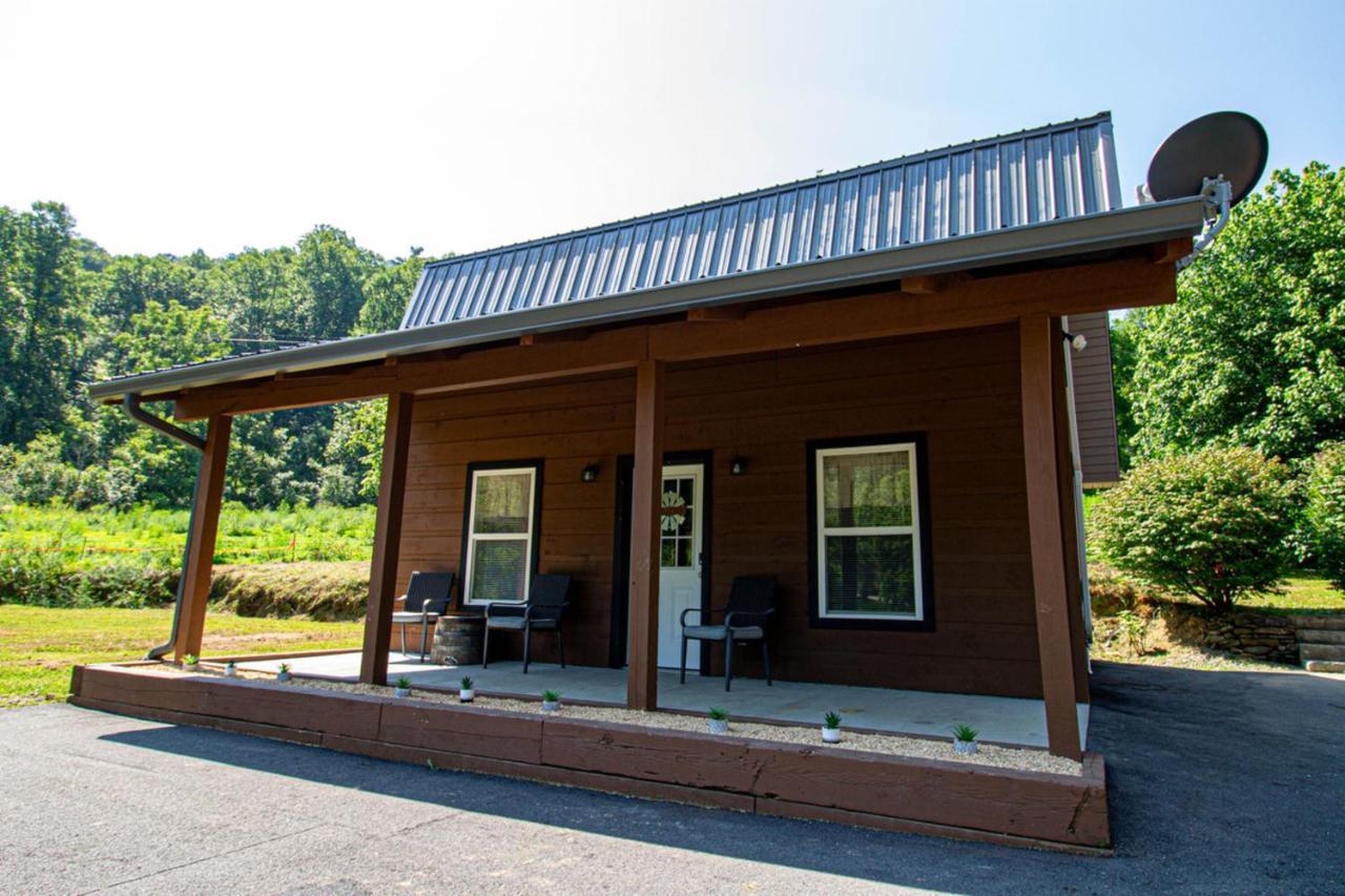Mountain Haven Dragon'S Nest Cabin 로빈스빌 외부 사진